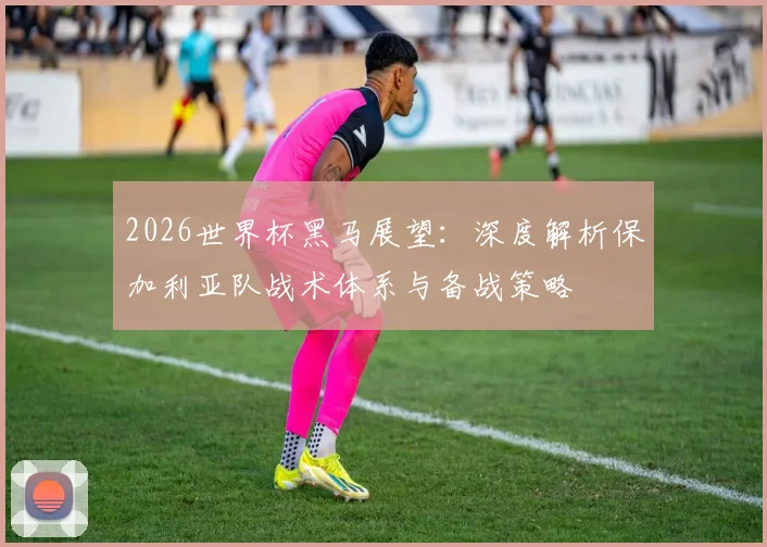 2026世界杯黑马展望：深度解析保加利亚队战术体系与备战策略