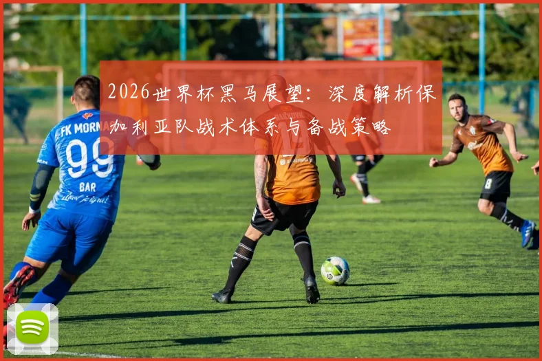 2026世界杯黑马展望:深度解析保加利亚队战术体系与备战策略